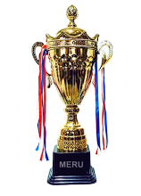 Gold Metal Sports Trophies Cup