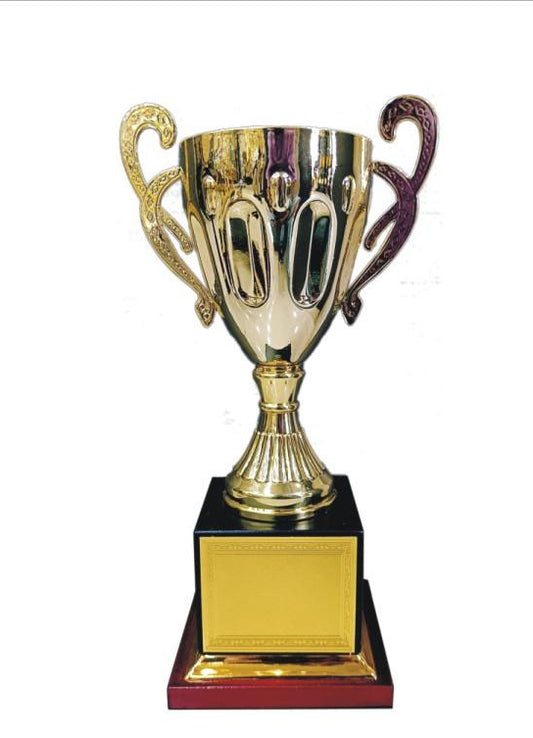 Golden Cup Trophy - Achievement Award