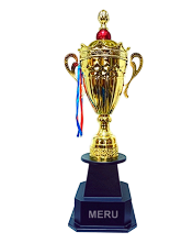 Gold Cup Trophy 2070 - Sports Award Trophy