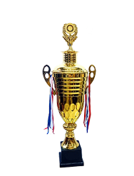 Gold Metal Sports Trophy Cup