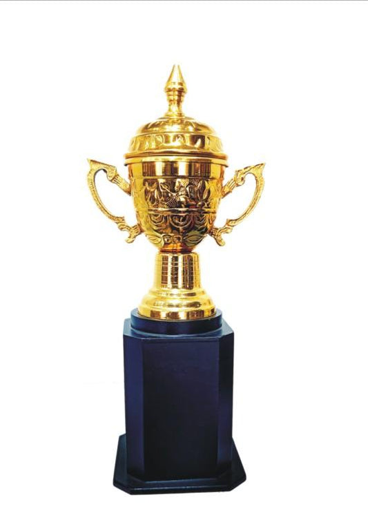 Gold metal cup trophy on black base; ideal for sports awards and recognition.