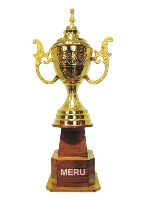 Elegant gold metal cup trophy.