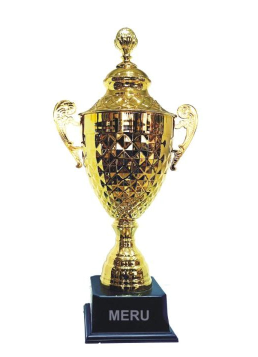 Golden metal trophy cup; ideal for sports awards and corporate recognition.