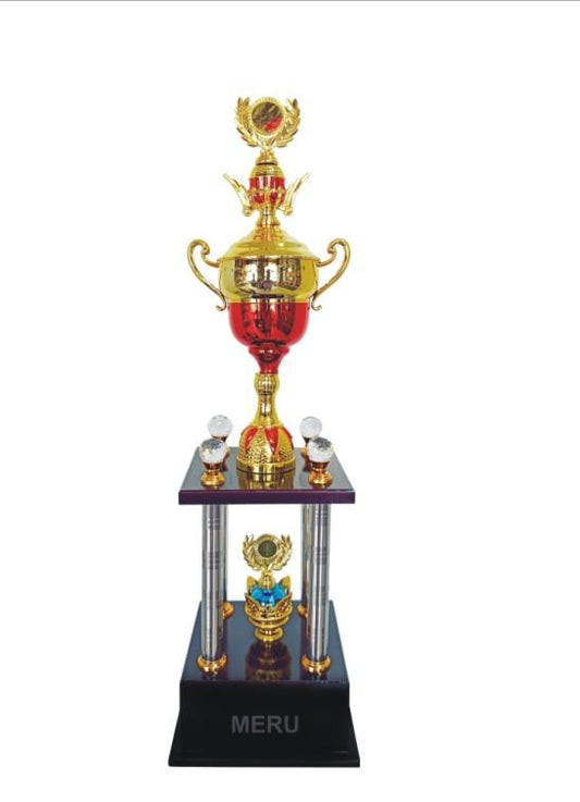Elegant Metal Cup Trophy - Sports Award