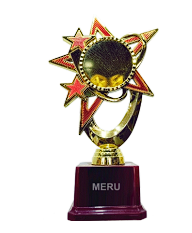 Gold and red star trophy