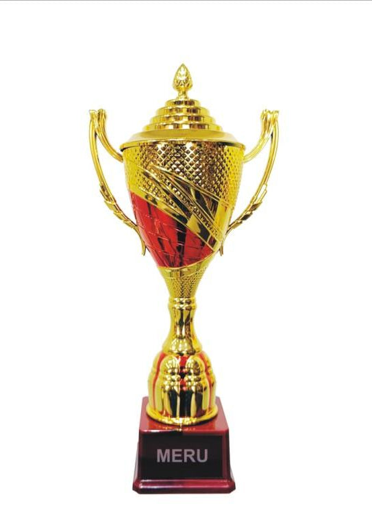 Gold and Red Fiber Trophy - Perfect for awards ceremonies and recognizing achievements.