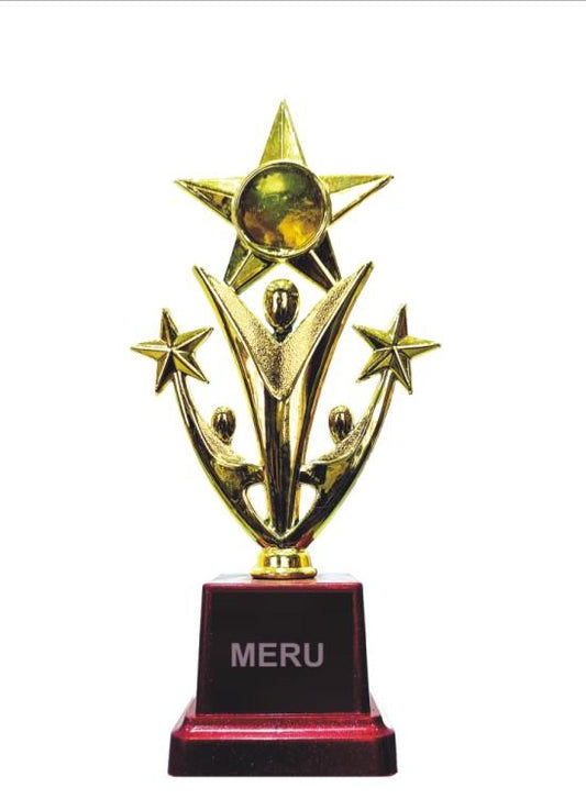 Gold Star Achievement Trophy 2373 - Fiber Trophy Design