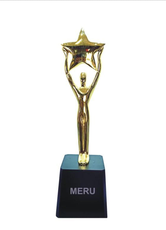 Gold star trophy; perfect for corporate awards and recognition.