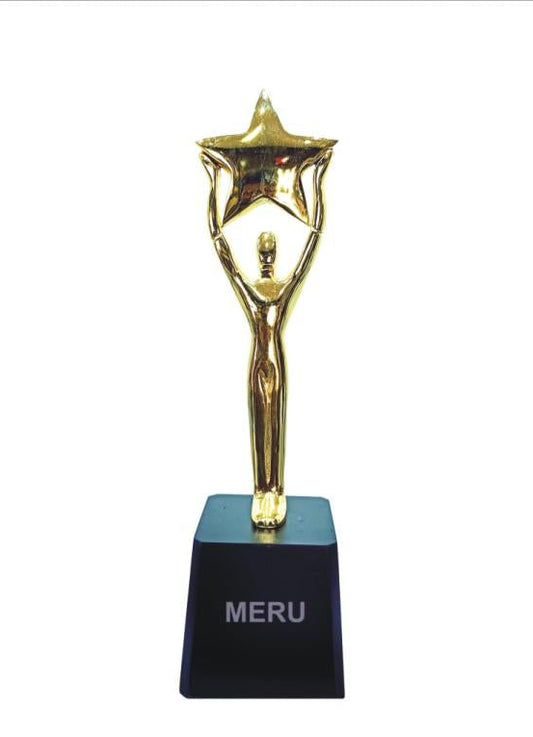 Gold star trophy; perfect for corporate awards and recognition.