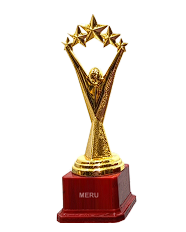 Gold Star Trophy - Achievement Award (Fiber Trophy)