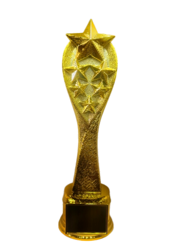 Gold star trophy award