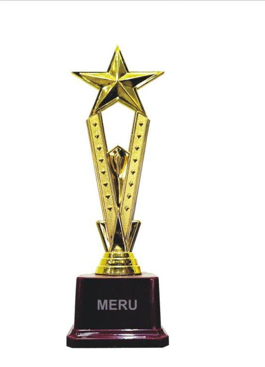 Gold Star Award Trophy - Fiber Trophy Design 1214