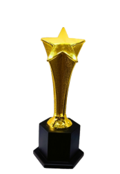 Gold Star Trophy - Symbol of Achievement