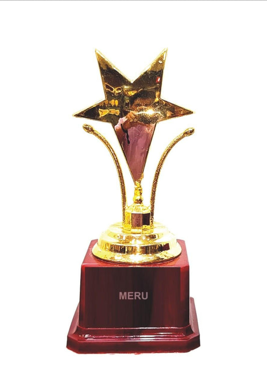 Gold Star Award Trophy 6156 - A beautiful fiber trophy for recognition.