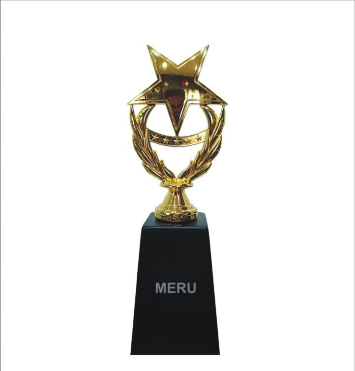 Gold star trophy with laurel wreath on black pedestal for corporate and college premium trophies recognition awards