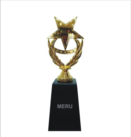 Gold star trophy with laurel wreath on black pedestal for corporate and college premium trophies recognition awards