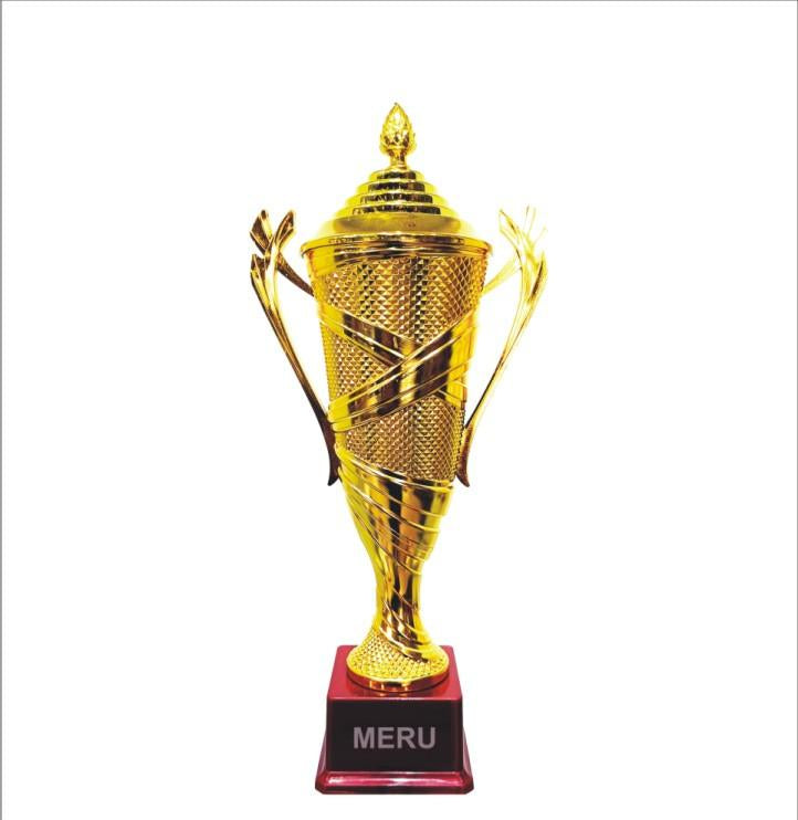 Gold Fibre Trophy Cup
