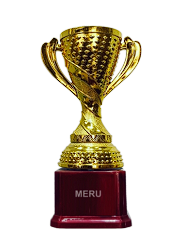 Gold Trophy Cup - Achievement Award (Fiber Trophy)
