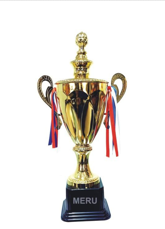 Gold trophy cup award; ideal for metal sports trophies and recognizing achievements.