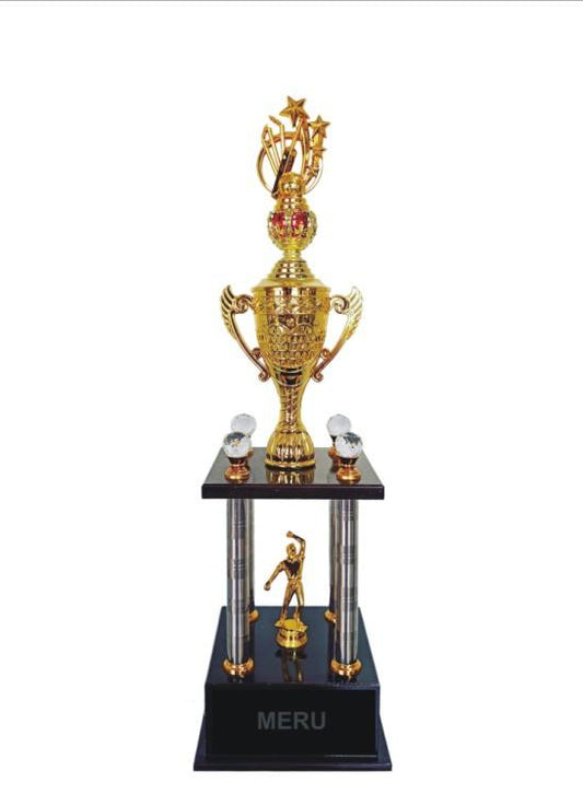 Golden Cup Trophy - Sports Achievement