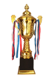 Elegant gold metal trophy symbolizing achievement and recognition. Ideal for sports awards and corporate events.