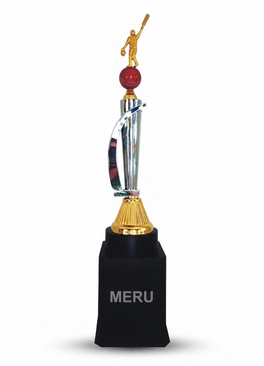 Cricket Batsman Metal Trophy Sports Award 957 - Meru Trophy