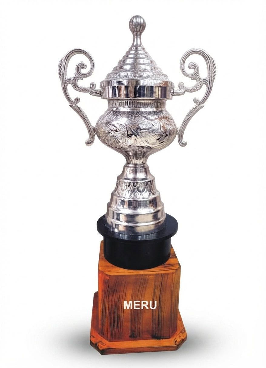 Elegant Silver Trophy Award 806-Silver-1 - Meru Trophy