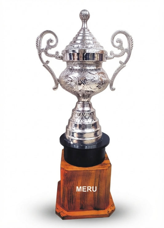 Elegant Silver Trophy Award 806-Silver-1 - Meru Trophy