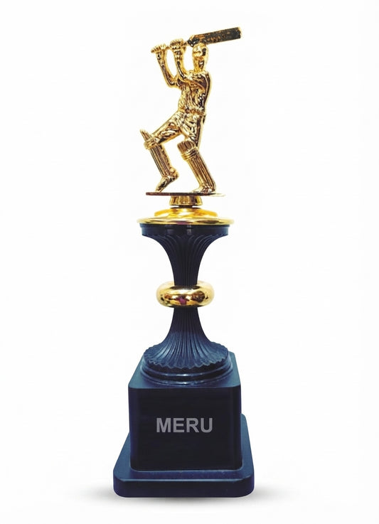 Cricket Trophy Custom Award 6005 - Meru Trophy