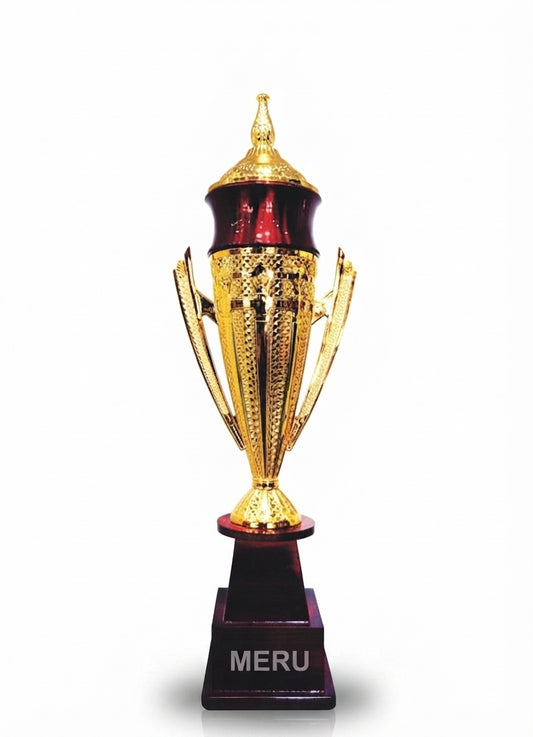 Fibre Trophy Corporate Award Custom Medals gold maroon award trophy 415 - Meru Trophy