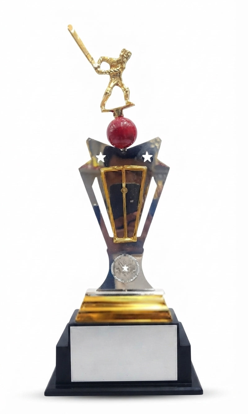 Cricket Trophy AS 989 - Premium Metal Sports Award - Meru Trophy