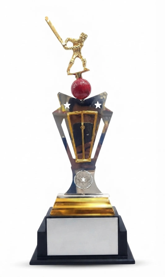 Cricket Trophy AS 989 - Premium Metal Sports Award - Meru Trophy