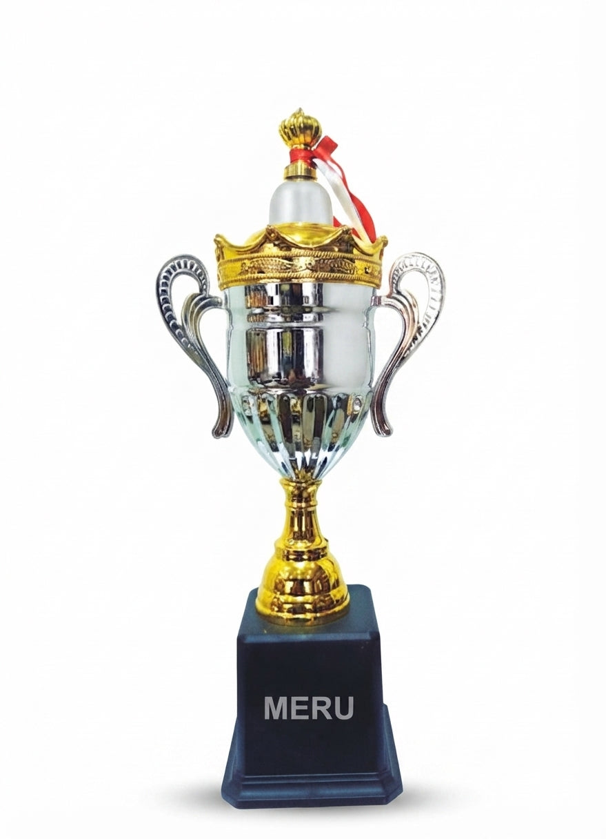Elegant Achievement Trophy Metal Sports Trophies  1060 - Meru Trophy