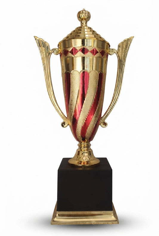 Elegant Trophy Cup for Awards and Recognition ABS 77 - Fiber Trophies - Meru Trophy