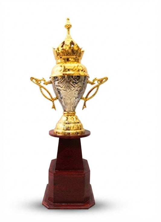Custom Metal Cup Trophy AS 931 - Sports Awards & Cricket Trophies - Meru Trophy