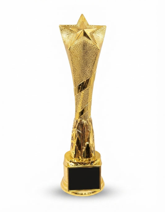 Gold Star Trophy Perfect for Corporate Trophy AM 6 - Meru Trophy