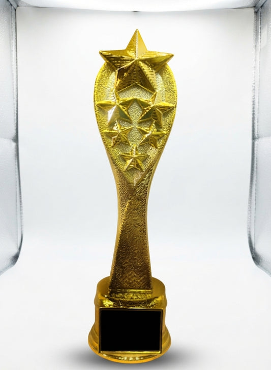Gold Star Trophy for Corporate Awards - Meru Trophy