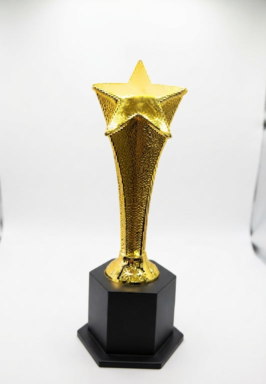 Gold Star Trophy Award 163 - Meru Trophy