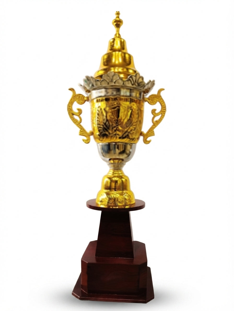 Metal Trophy: Celebrate Victory with a Custom Trophy 829 G - Meru Trophy