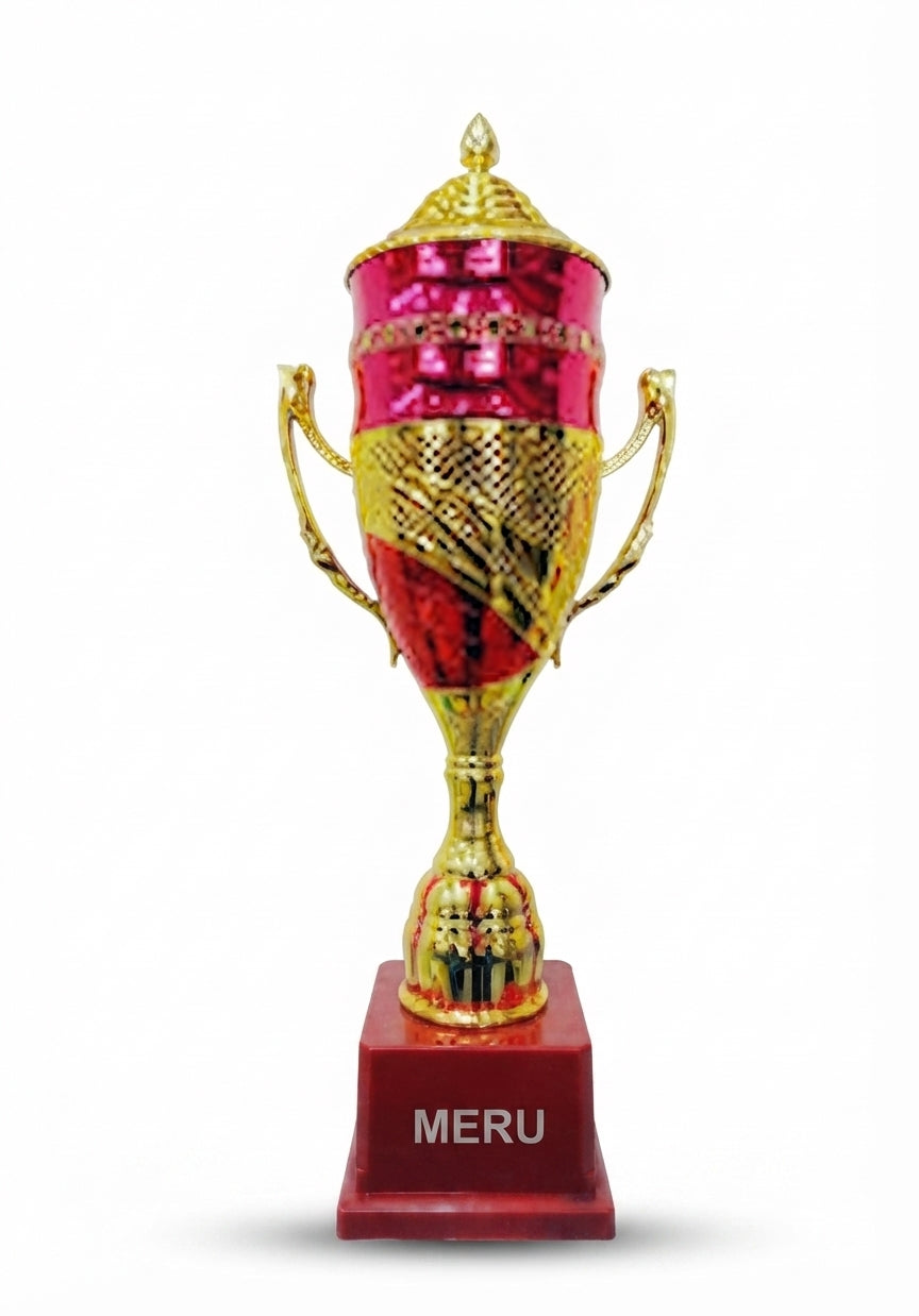 Metal Cup Trophy Awards and Recognition 948 - Meru Trophy
