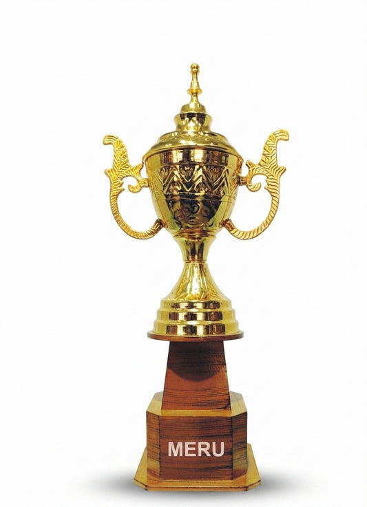 Gold Metal Award Trophy AS744 - Meru Trophy