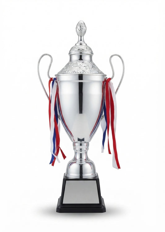 Elegant Silver Metal Trophy Award 2115 - Custom Sports Awards - Meru Trophy