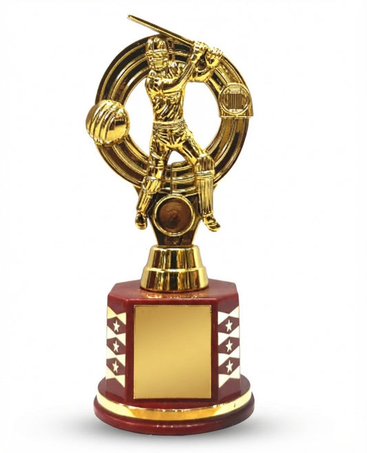 Cricket Trophy - Sports Awards and Recognition 808 - Fiber Trophies - Meru Trophy