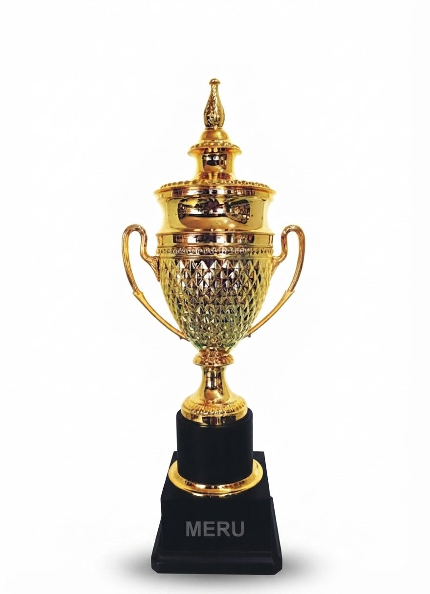 Metal Corporate Trophies Awards gold metal award trophy 310 - Meru Trophy