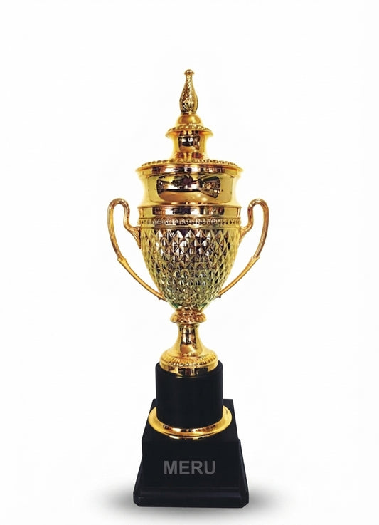 Metal Corporate Trophies Awards gold metal award trophy 310 - Meru Trophy