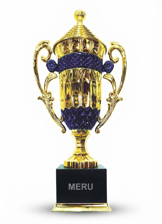 Fiber Trophy Award  ABC79 - Meru Trophy