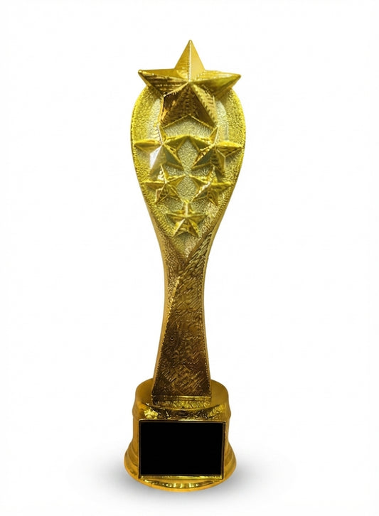 Gold Star Trophy Award AM 09 - Custom Star Trophy - Meru Trophy
