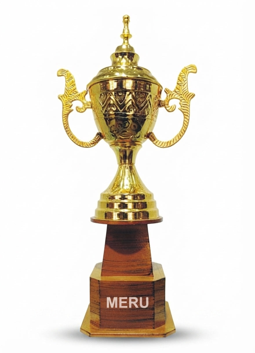 Gold Metal Trophy Recognition Award AS947 - Meru Trophy