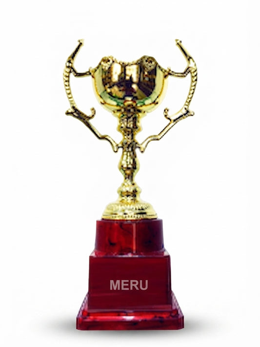 Gold and Maroon Achievement Trophy 7535 - Meru Trophy
