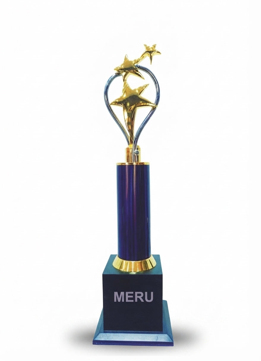 Premium Star Award Trophy for Corporate Recognition premium star award trophy 377 - Meru Trophy